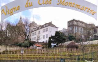vignes-clos-montmartre